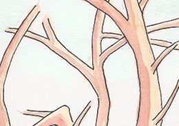 Ask Ygdrasil